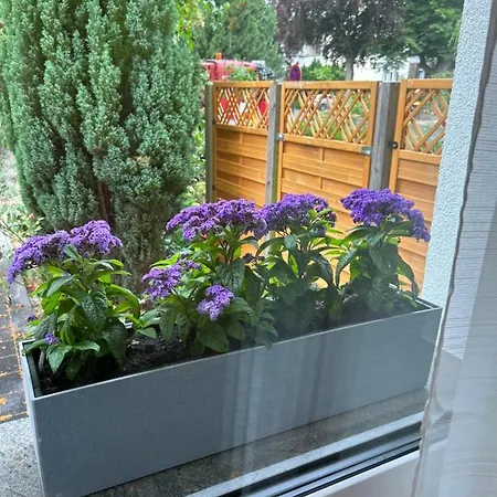 Aparthotel By Hd Mit Parkplatz, Wallbox, Wintergarten Bad Salzuflen