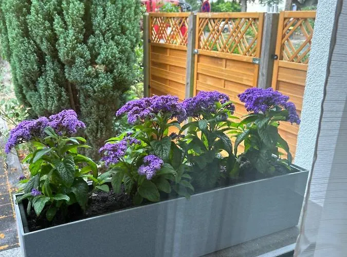 Aparthotel By Hd Mit Parkplatz, Wallbox, Wintergarten Bad Salzuflen