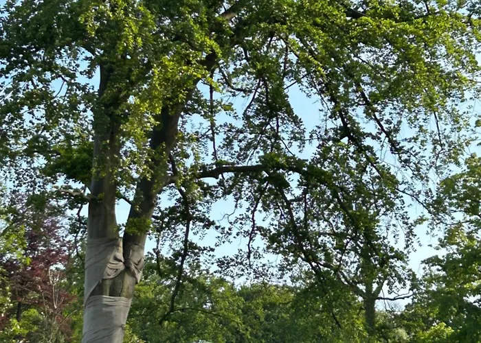 By Hd Mit Parkplatz, Wallbox, Wintergarten Aparthotel 4*